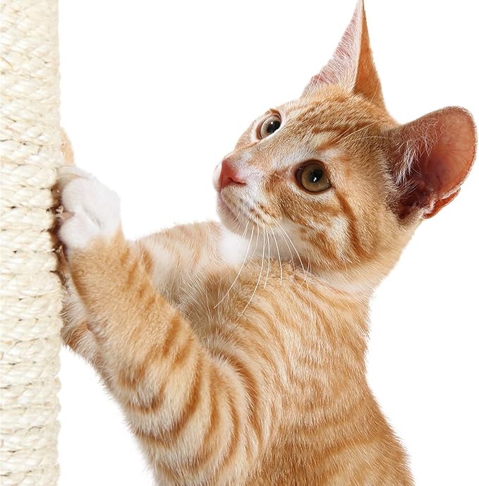 TRIXIE Replacement Sisal Post for Cat Scratching Posts, Backup Scratcher for - Image 7