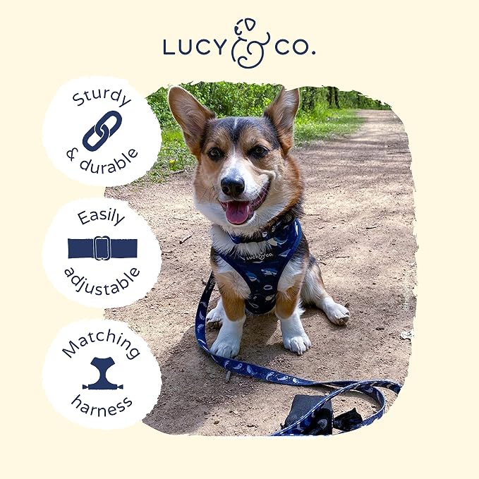 Lucy & Co. Shark Attack Adjustable Dog Collar- Cute Designer Pet Collar - Image 3
