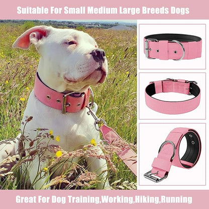 Heavy Duty Tactical Dog Collar - Image 8