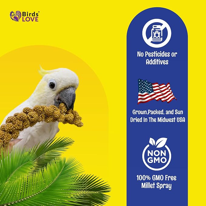 Birds LOVE Economy Special Spray Millet - Image 5