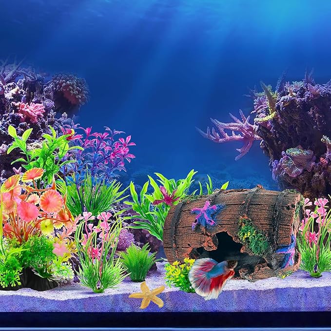Fish Tank Decoration for Aquarium Tank, Betta Fish Tank Accessories Starfish - Image 4