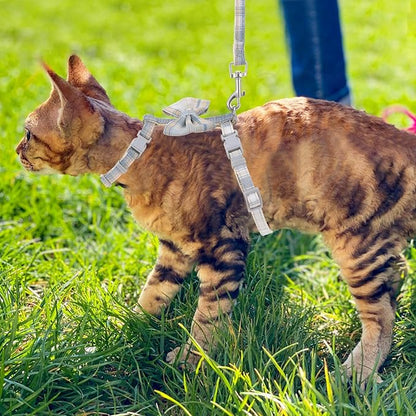 TIESOME Cat Harness and Leash Set, Adjustable Gradient Kitten Harness Escape - Image 7