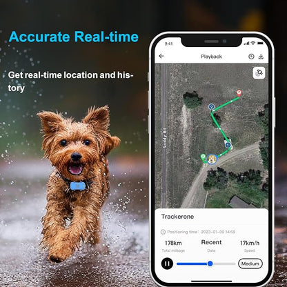 GPS Tracker for Dogs, Real-time Dog Tracker - Image 6