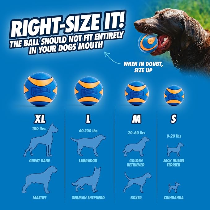 Chuckit Ultra Squeaker Dog Ball - Image 4