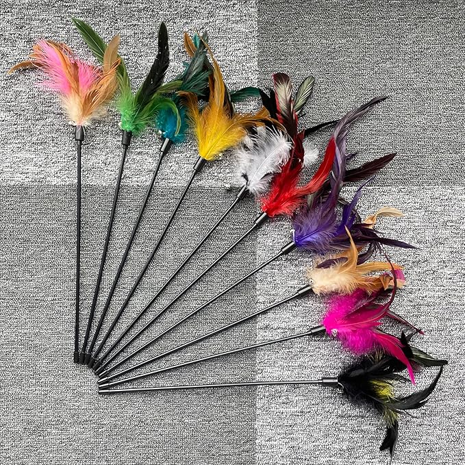 10-Pack Cat Feather Wand Toys - Image 3
