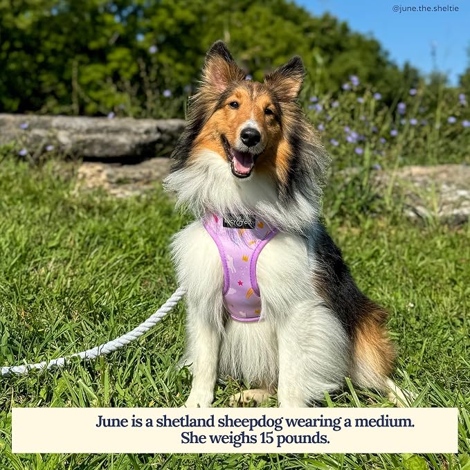 Lucy & Co. Cute Reversible Dog Harness Walking Halter - Image 4