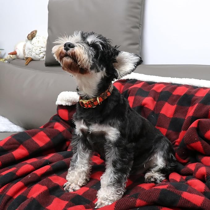 Unique style paws Dog Collar Metal Buckle Gift - Image 3