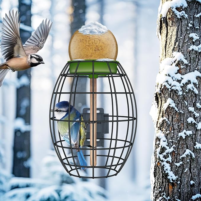 LONA Squirrel Proof Bird Feeding Cage - Image 4