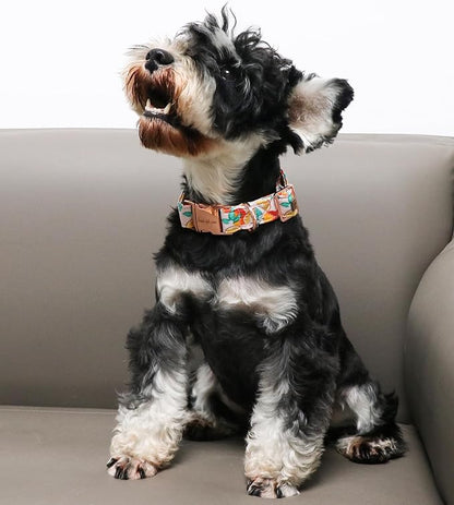 Unique style paws Dog Collar Metal Buckle Orange Collar Gift Durable Cute Collar - Image 3