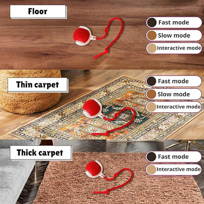 Speedy Tail 2.0 Cat Toy, 360°Automatic Rolling Ball, Smart Interactive Cat Toy - Image 7