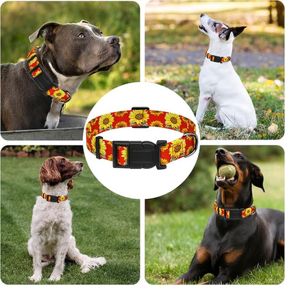 Dog Collar, Floral Boys Girls Puppy Collar - Image 6