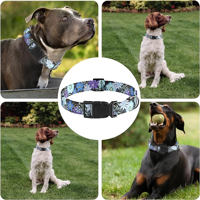 Dog Collar for Boys & Girls, Puppy Collar for Small to Large Dogs, Adjustable - Image 6