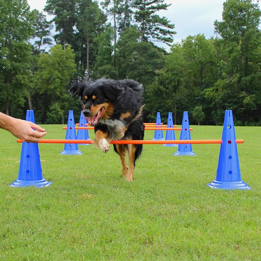 Dog Agility Hurdle Cone Set by Lord+Anson
