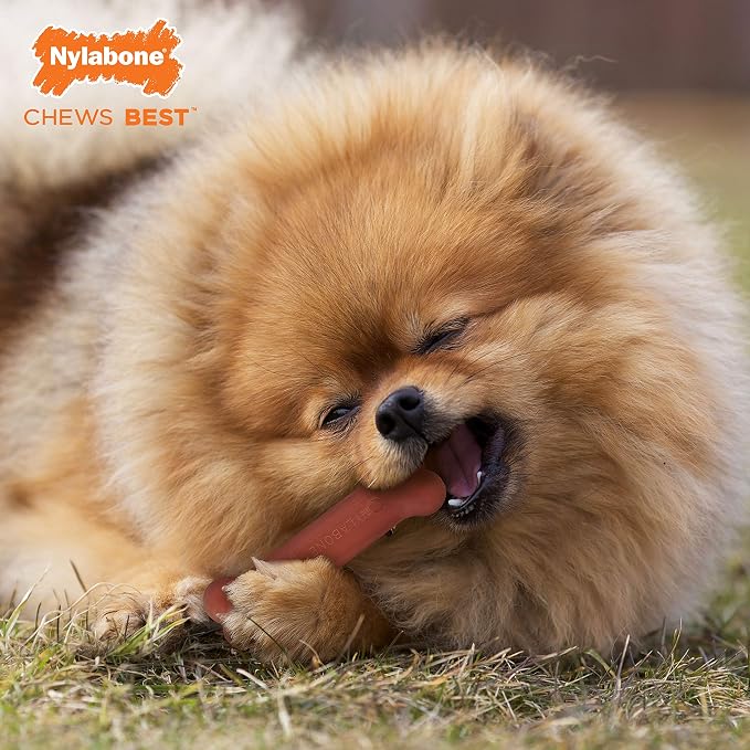 Nylabone Original Bone Power Chew Toy - Image 3