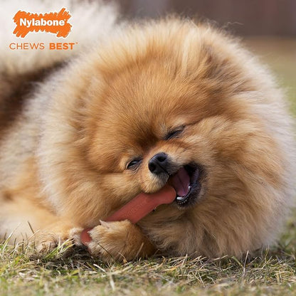 Nylabone Original Bone Power Chew Toy - Image 3