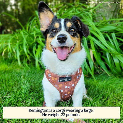 Lucy & Co. Cute Reversible Dog Harness Walking Halter - Image 4