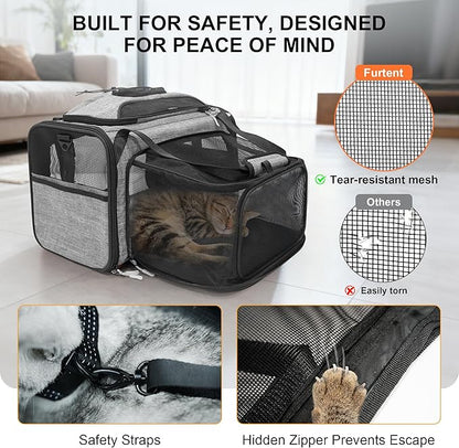 Top and Side Expandable Pet Carriers, in-Cabin Travel Carrier - Image 4
