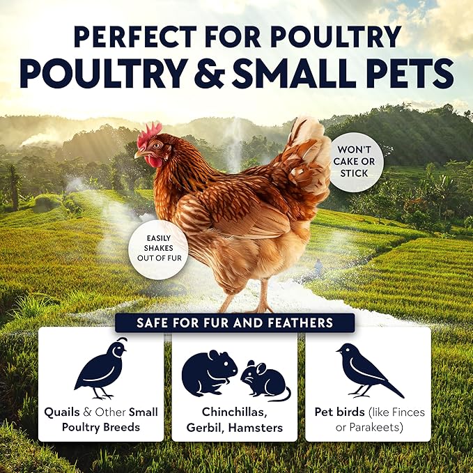 5.5lb Chickie-Whiz Chicken Dust Bath - Image 4