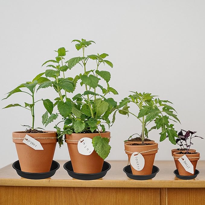 6 Pack Plastic Plant Saucer Water Drip Tray, 4 5 6 7 8 9 10 11 12 13 15 17 19 - Image 3