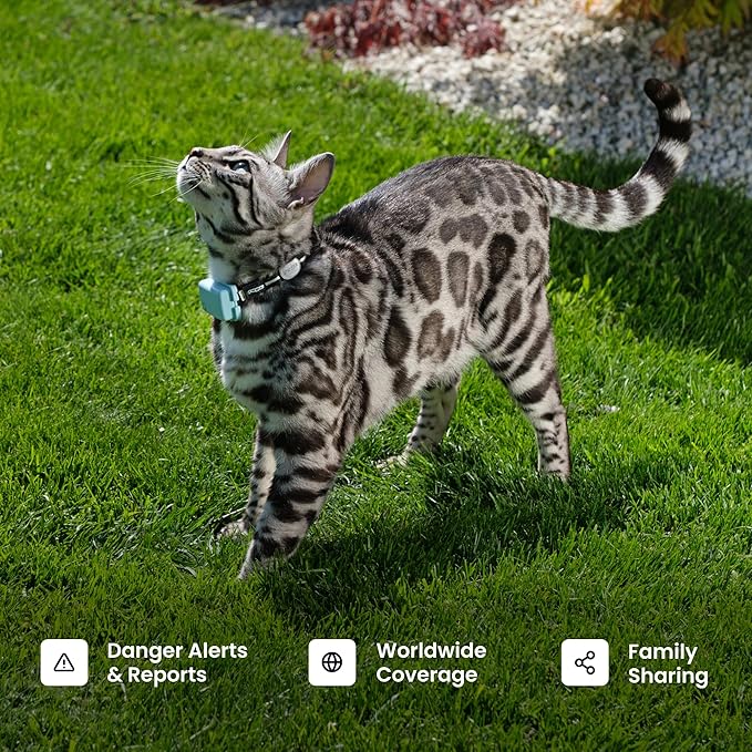 Tractive Smart Cat GPS Tracker | Real-Time Location & Wellness Monitoring - Image 8