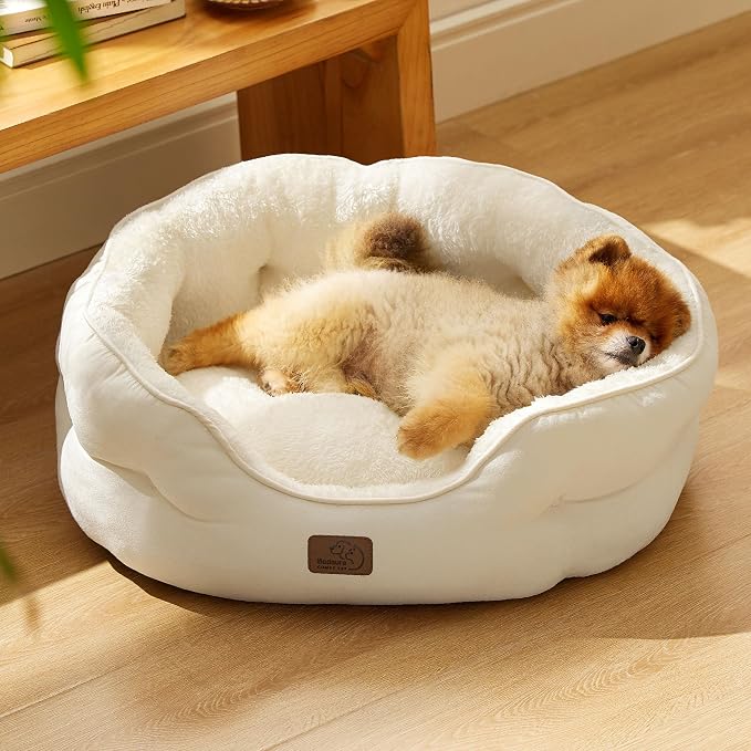 Bedsure Dog Beds for Small Dogs - Image 7