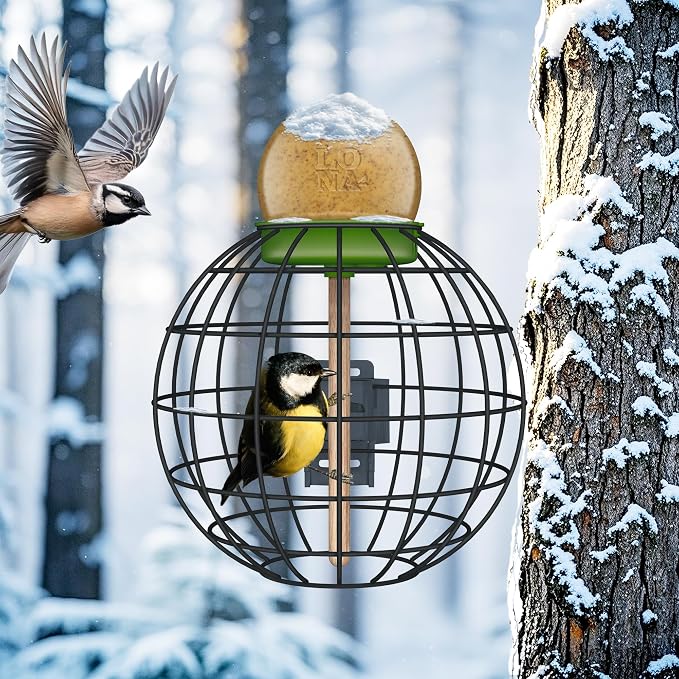 LONA Squirrel Proof Bird Feeding Cage - Image 4