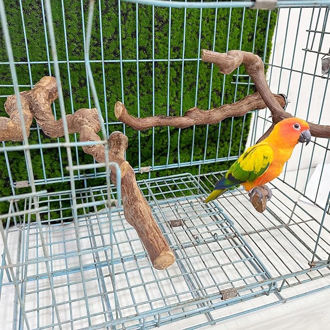 Allazone 4-Piece Bird Perch - Image 3