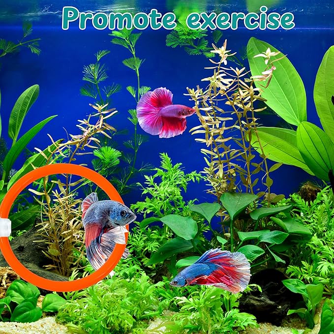 Betta Mirror Enrichment Fish Toys Stimulation, Betta Fish Tank Accessories - Image 3