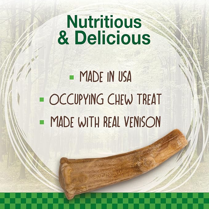 Nylabone Healthy Edibles WILD Natural Dog Chew Treats - Image 3