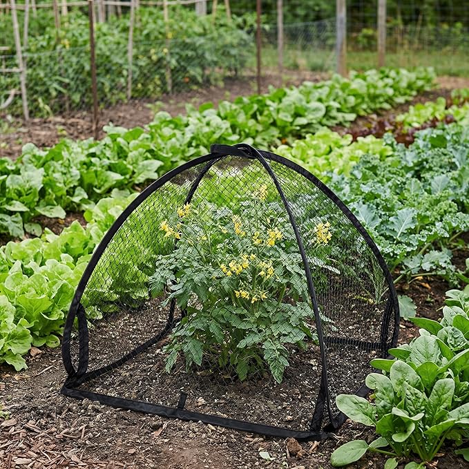 DECOHS 2 Pcs Pop-Up Mesh Plant Cover Tent, Plant Protector Enclosure - Image 6