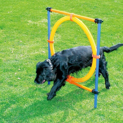 PAWISE Dog Agility Training Equipment, Puppy Agility Kit by PAWISE