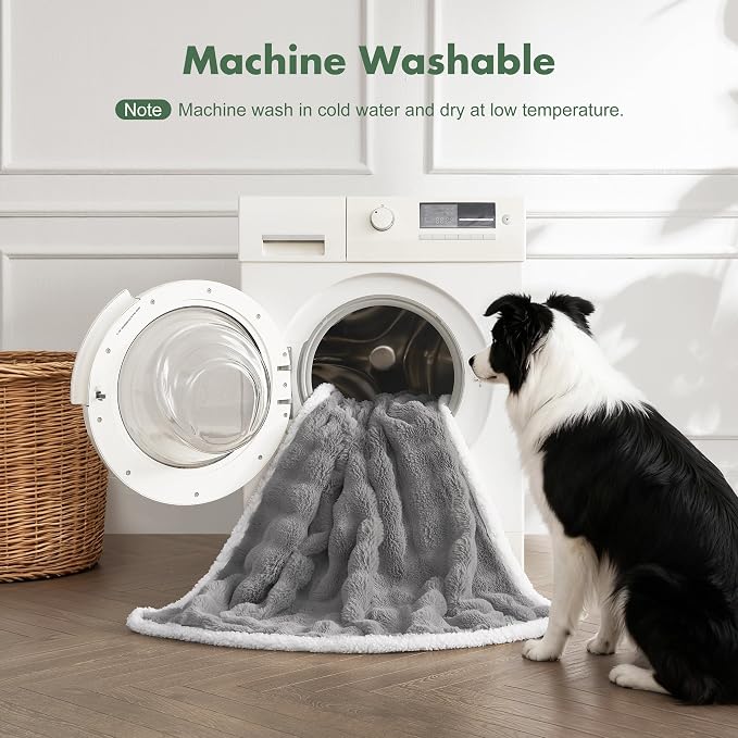 Soft Cozy Waterproof Dog Blanket - Image 6