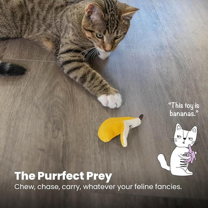 Catstages Petstages Dental Banana Catnip Cat Chew Toy - Image 6