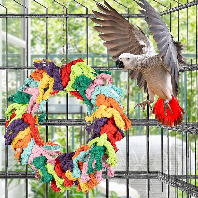 Parrot Swing for Large Birds - Image 4