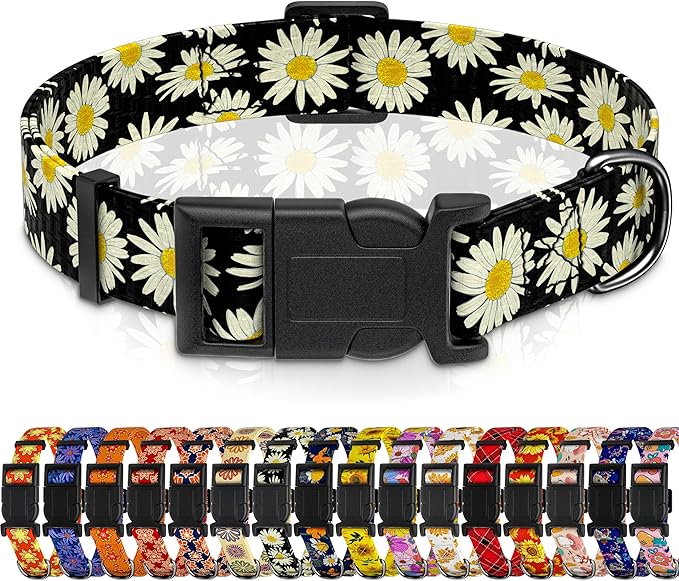 Dog Collar, Daisy Boys Girls Puppy Collar by Seyezo