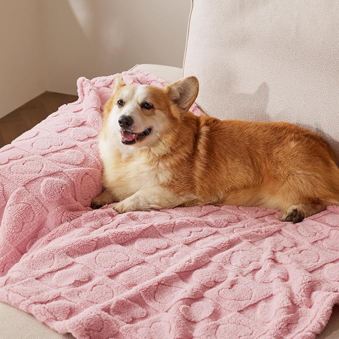 Bedsure Dog Blanket for Large Dogs Washable - Image 6