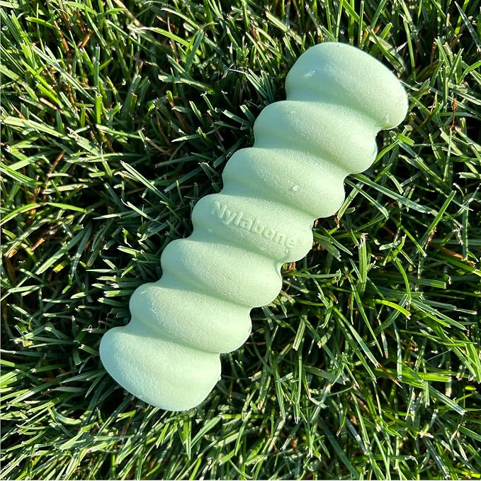Nylabone Sensory Material Soothing Puppy Chew Toy Stick, Toys - Image 9