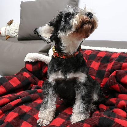 Unique style paws Dog Collar Metal Buckle Maple Leaves Collar Gift Durable Cute - Image 5