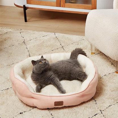 Bedsure Dog Beds for Small Dogs - Image 2