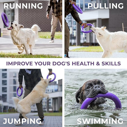 Puller Outdoor Dog Ring Toys - Image 4