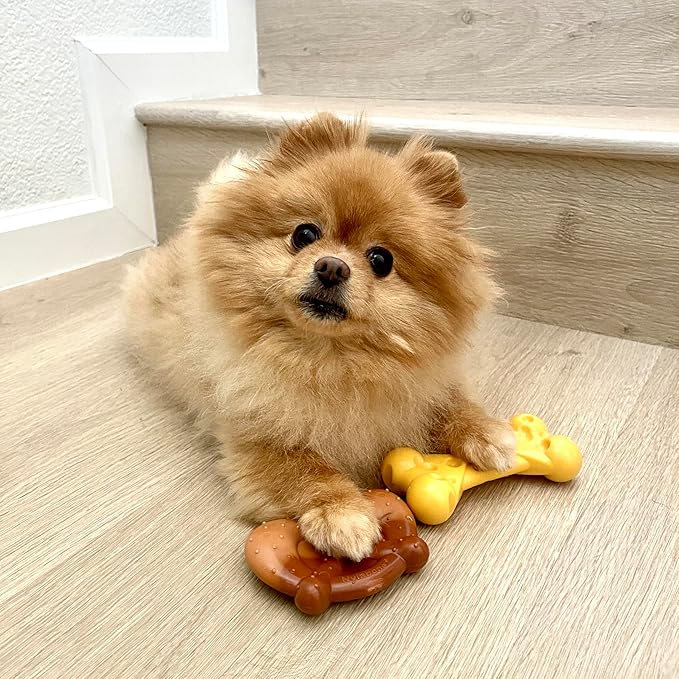 Nylabone Power Chew Toy Bundle, Cute Dog Toys - Image 2
