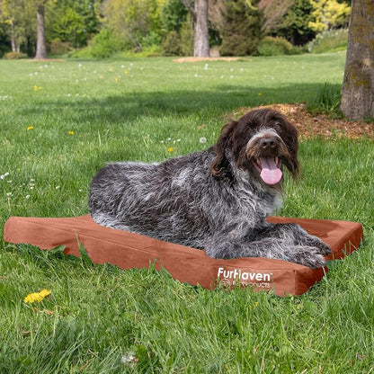 Furhaven Water-Resistant Orthopedic Dog Bed - Image 3