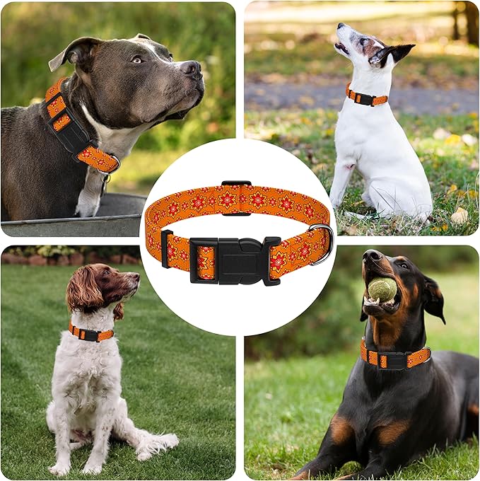 Dog Collar, Classical Indian Spirit Boys Girls Puppy Collar - Image 6