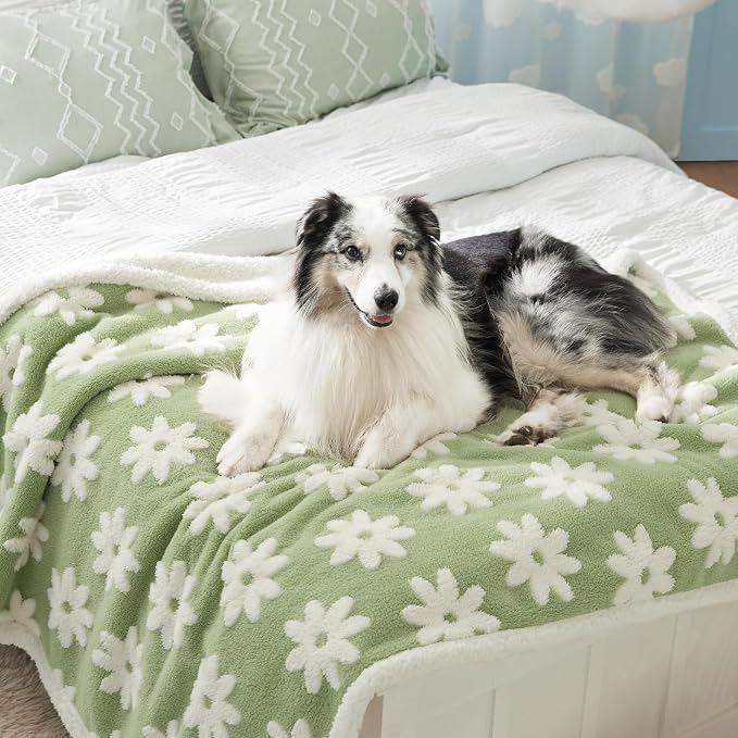 LE SURE Waterproof Dog Blanket for Large Dogs by Lesure