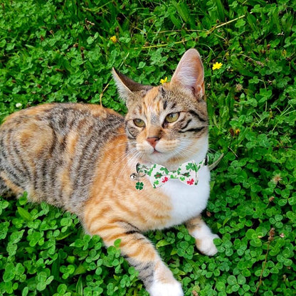 ADOGGYGO St. Patrick's Day Cat Collars - Image 2