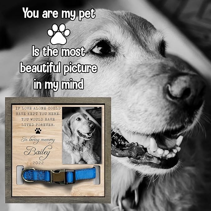 Pet Memorial Gifts Bereavement Gifts Cat Memorial Dog Loss Sympathy Custom Cat - Image 6