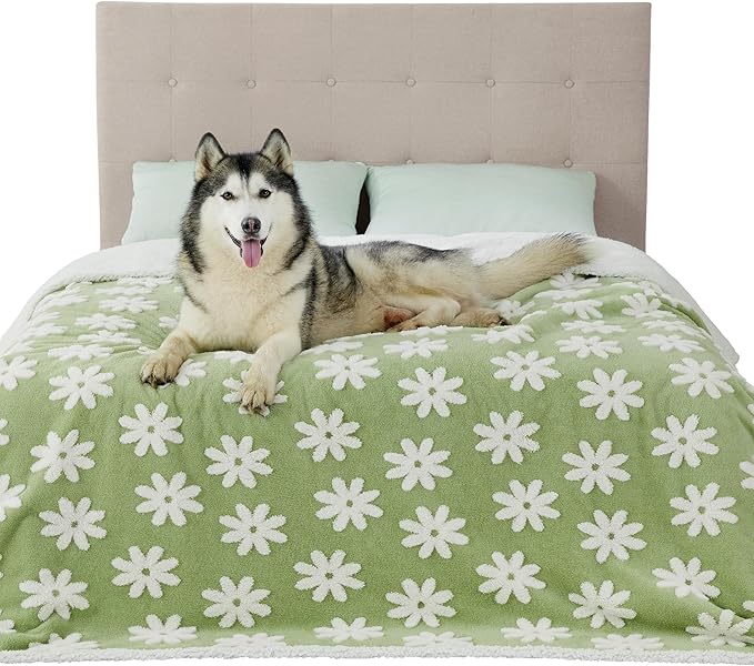 LE SURE Waterproof Dog Blanket for Large Dogs by Lesure