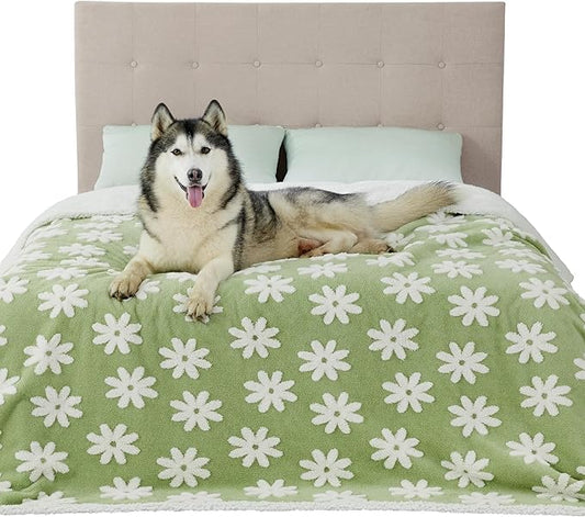 LE SURE Waterproof Dog Blanket for Large Dogs by Lesure
