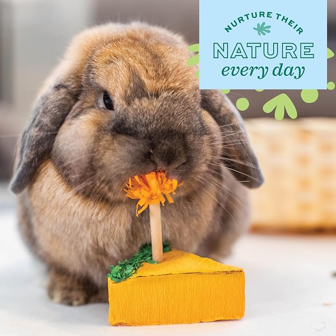 Oxbow Enriched Life Birthday Party Pack, Rabbit & Guinea Pig Toys, Enrichment - Image 7