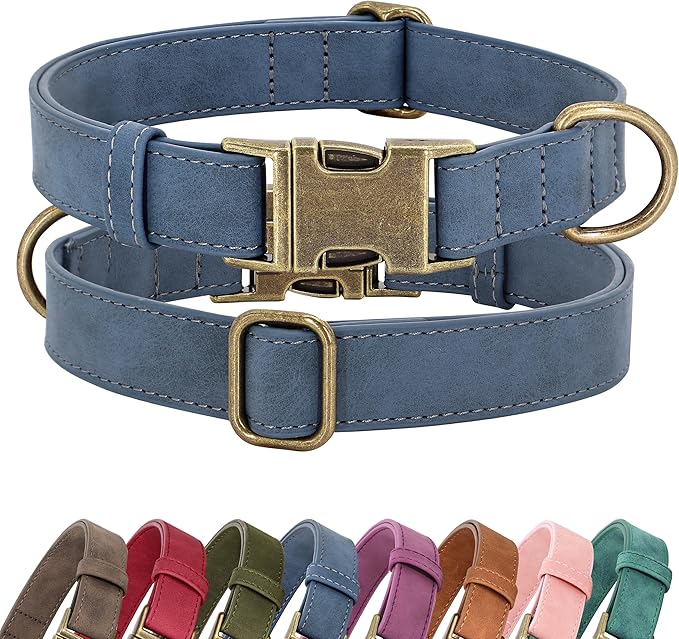 Didog Soft PU Leather Dog Collar, Stylish Quick Released Dog Collars by Didog